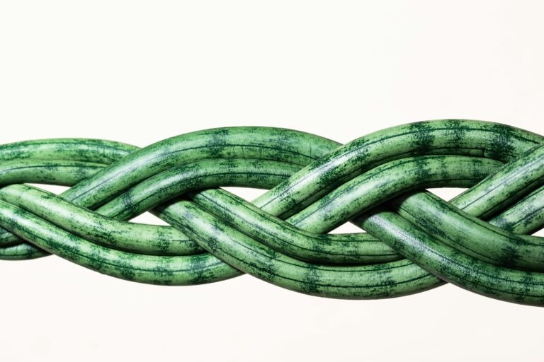 Link Building